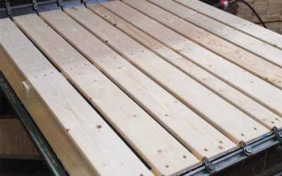 Auszubildende sind die Fachkräfte von morgen