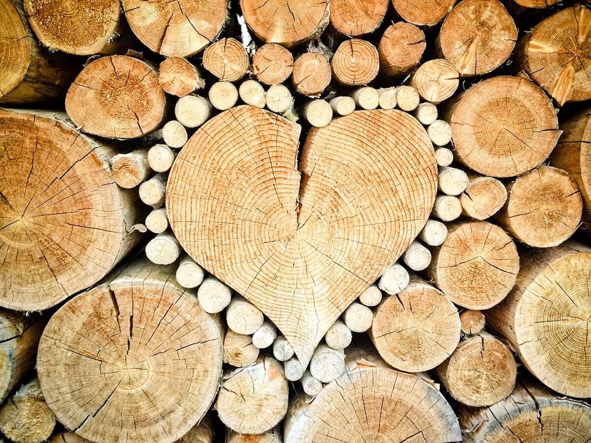 was-macht-ein-holzbearbeitungsmechaniker Was macht ein Holzbearbeitungsmechaniker